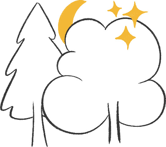 Trees, moon and stars